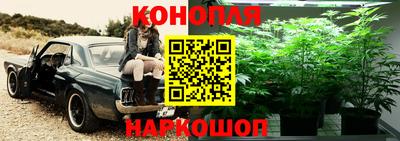 гидра Северобайкальск