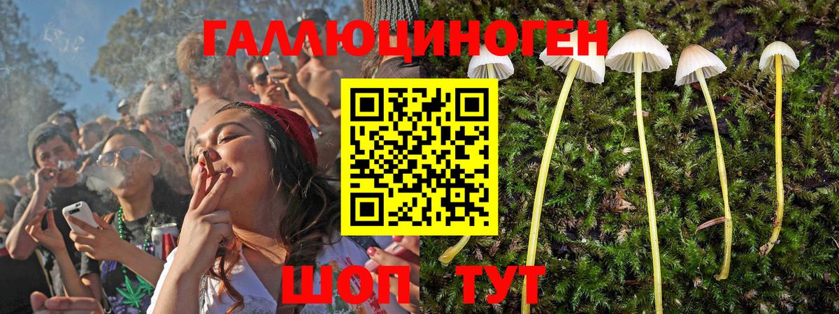 Галлюциногенные грибы MAGIC MUSHROOMS Петропавловск-Камчатский