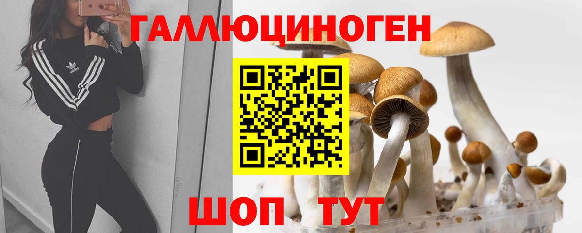 Псилоцибиновые грибы ЛСД  Вход с VPN  Петропавловск-Камчатский  Галлюциногенные грибы Magic Shrooms 